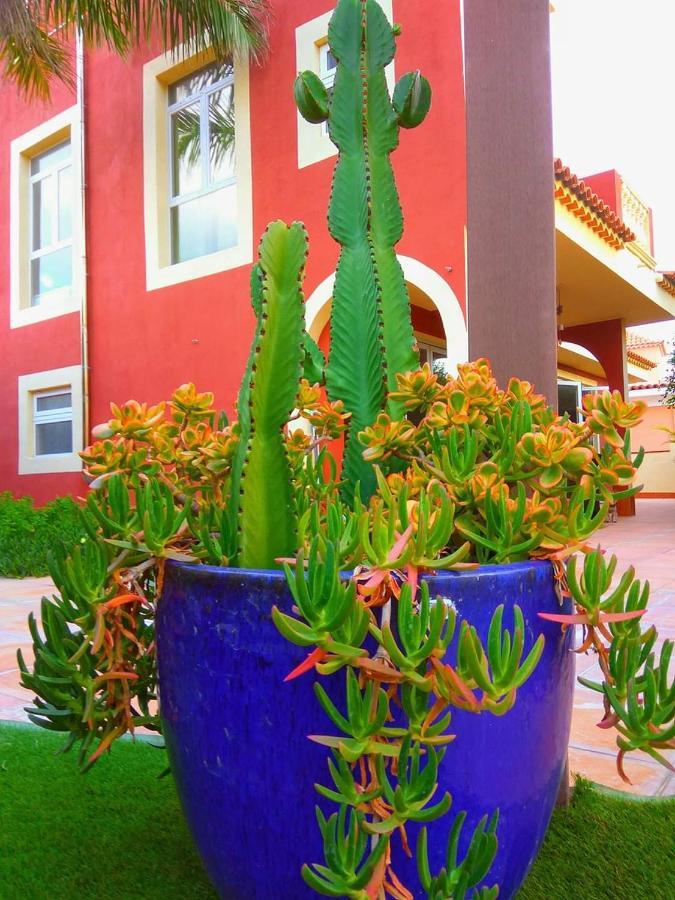 Casa Viera Villa Buzanada Ngoại thất bức ảnh